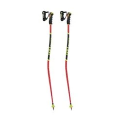 Bastoncini Da Sci Leki WCR Lite GS 3D